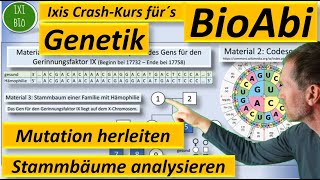 Genetik Anwendungsaufgabe AFB II Art der Mutation herleiten  Stammbaum analysieren  BioAbi 2023 [upl. by Yehudit]