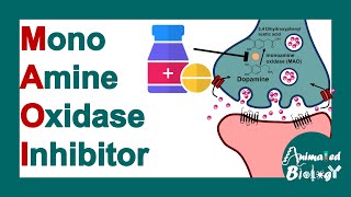 MAO inhibitors  Mechanism of MAO I  What is MAO inhibitor used for  Pharmacology [upl. by Drobman]