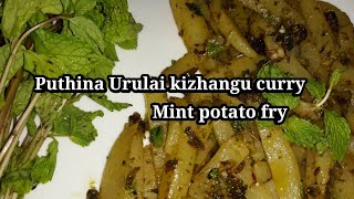 புதினா உருளை கிழங்கு வறுவல்  Mint potato fry  puthina urulai kizhangu curry [upl. by Ettenil]