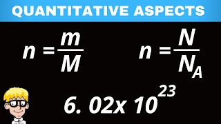 Quantitative Aspects of Chemical Change Calculate mols [upl. by Warde]