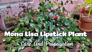 Mona Lisa Lipstick Plant Aeschynanthus Care And Propagation [upl. by Fishbein608]