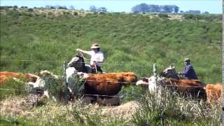 The Gauchos of Uruguay [upl. by Golanka578]