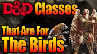 DampD Races Aarakocra and Kenku  What Character Class Should You Play [upl. by Mareld]