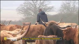 Grégory  lagriculture quotdu champs à lassiettequot  La Quotidienne la suite [upl. by Nortal404]