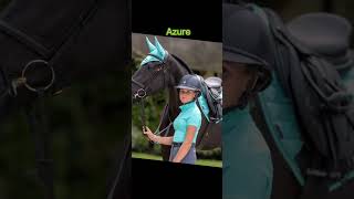 Lemieux colours that look best on blackbrown horses trendingshorts horses horses pony viral [upl. by Accisej]