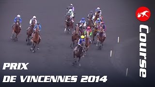 Prix de Vincennes 2014  La course [upl. by Trella973]