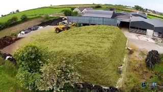 What makes a great Silage loader Driver [upl. by Margaux724]