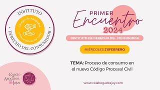 Proceso de Consumo en el nuevo Código Procesal Civil [upl. by Audrie]