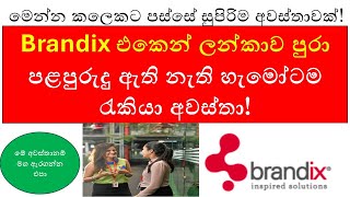 Brandix Job Vacancies 2024 The ULTIMATE Guide to Landing Your Dream Job in Sri Lanka [upl. by Iand]