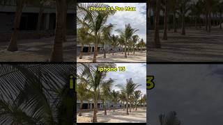 Iphone 14 pro Max Vs iphone 13 cameracomparision 2024 [upl. by Hgielah]