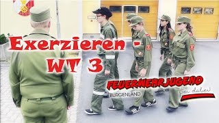 Formalexerzieren WT3  Feuerwehr Ausbildung [upl. by Hannon]