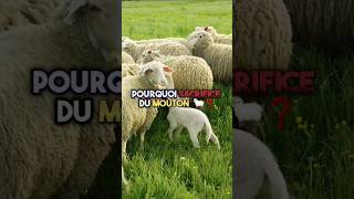 pourquoi les musulmans fontils le sacrifice dun mouton 🐑❓allah islam islamrappel aïdelkebir [upl. by Ynatsyd769]