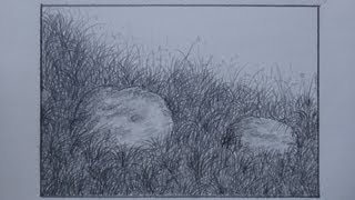 How to draw grass using pencil for landscape [upl. by Pudens933]