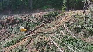 Idaho Logging  Steep Slope Shovel Logging  Tigercat LSX870D [upl. by Scever]