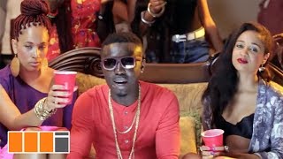 Criss Waddle R2Bees  Ayi ft Bisa Kdei Official Video [upl. by Nylaj784]