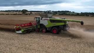 Claas 8900 harvesting oilseed rape [upl. by Daukas]