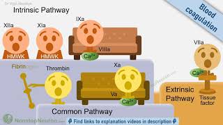 Hemostasis Physiology amp Pharmacology Animated Series Trailer [upl. by Nryhtak]