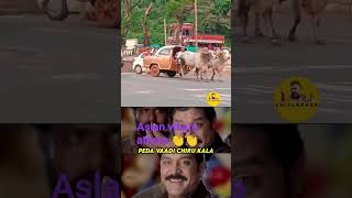 asalaina vihara Yatra song funny malayalam dj newsong music [upl. by Haag245]