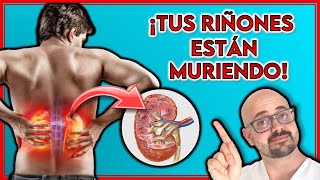 7 PRIMEROS SIGNOS que AVISAN que tus RIÑONES no funcionan  Indican INSUFICIENCIA RENAL [upl. by Tem]