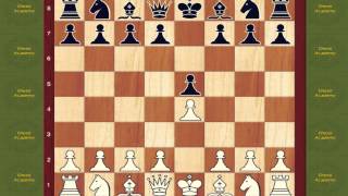 Chess Opening Book Leonardis Variation Opening [upl. by Ahswat94]