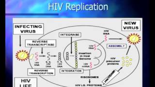 Basic Course in HIV  Pathophysiology and Natural History of HIV Infection [upl. by Lleira]