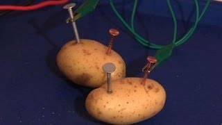 How To Make Your Own Potato Battery [upl. by Retepnhoj]