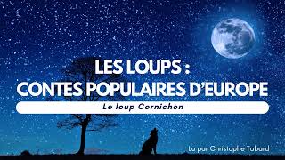 Le loup Cornichon  AUDIO  Contes populaires dEurope [upl. by Assilak384]