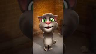 caty song youtubeshorts aicat shorts song ytshorts talkingtom cat cute [upl. by Shem]