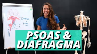 PSOAS Y DIAFRAGMA  ANATOMÍA BIOMECÁNICA LESIONES Y DISFUNCIONES  FISIOTERAPIA PARA CROSSFIT [upl. by Nakasuji275]