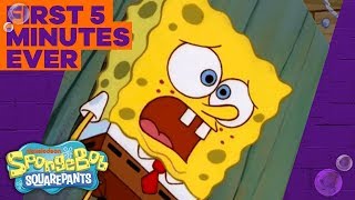 Spongebob Roast Compilation [upl. by Enyahc]