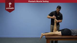 Plantaris Muscle Test Palp Dr Nikita Vizniak Muscle Manual [upl. by Nadnarb]