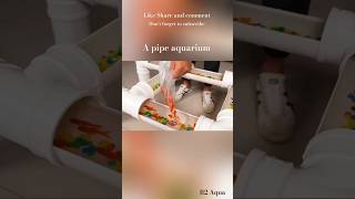 Diy pipe aquarium tranding shortfeed shortsfeed shortsvideo viralshorts aquascape aquriam [upl. by Arraeis776]