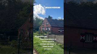 нидерланды nederlands weekend travel animals nederlands путешествия животные путешествия [upl. by Wolbrom]