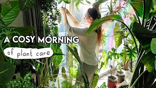 Rehabbing PestTreating  Pottering With Plants 🌿 Plant Chores and Chat [upl. by Terrence]