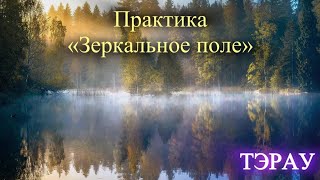 Куратор ТЭРАУ Практика quotЗеркальное Полеquot [upl. by Dorita424]