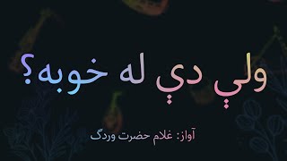 TARHAN AWAZ  Pashto Song  Ghulam hazrat wardak rabab  غلام حضرت وردګ رباب  ولې نه راګورې؟ [upl. by Teria977]