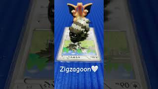 Zigzagoon🤍pokemon dance [upl. by Sanjiv]