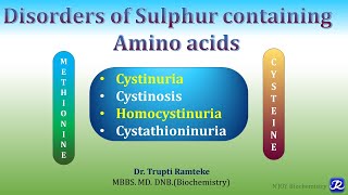 14Disorders of Metabolism of Methionine amp Cysteine  Amino acid metabolism  Biochemistry [upl. by Iv434]