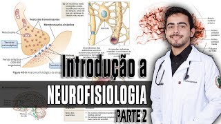 Fisiologia  Organização do SNC Sinapses e Neurotransmissores Capítulo 4645 PARTE 2 │ GUYTON [upl. by Ahsieyn]