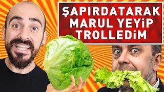 ŞAPIRDATARAK MARUL YEDİM TROLLEDİM KUDURDULAR [upl. by Ellimaj]