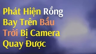 Phát hiện rồng bay trên bầu trời BỊ camera quay được  Discovered Real Dragons Flying in The Sky [upl. by Attela864]