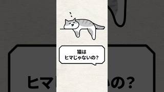 Q：猫はヒマじゃないの？ 猫 猫のいる暮らし ねこ [upl. by Arba]