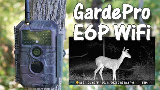 The Best Trail Camera With WiFi in 2023 Our Top Picks Revealed [upl. by Bulley]