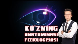 Kozning anatomiyasi va fiziologiyasi [upl. by Ricardama]