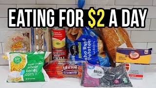 Eating for 2 a Day Cheap and Healthy Meal Ideas You Need to Try [upl. by Annairdna]