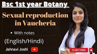 Vaucheria Sexual reproduction NotesBsc 1st year Botany [upl. by Ferrand]