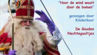 Sinterklaas  Hoor de wind waait door de bomen [upl. by Colton]