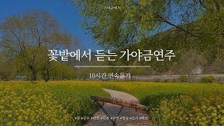 10시간🌼유채꽃 보며 듣는 가야금 연주 10시간 연속듣기🌈⎮ 중간광고없음 ⎮수면유도 불면증 집중 공부 힐링 휴식 감성 명상 태교음악 10Hours gayageum Play [upl. by Onoitna]