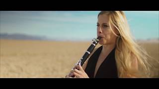 Lean On by Major Lazer Four Play clarinet Music Video Cover [upl. by Ydniw]