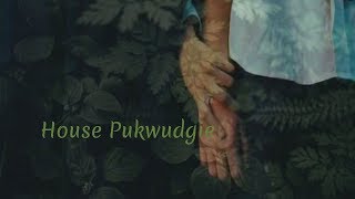 House Pukwudgie The Heart [upl. by Nnaael360]